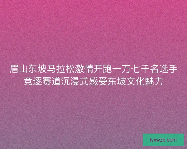 眉山东坡马拉松激情开跑一万七千名选手竞逐赛道沉浸式感受东坡文化魅力